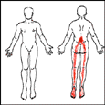 umbilical incisional hernia repair cpt code